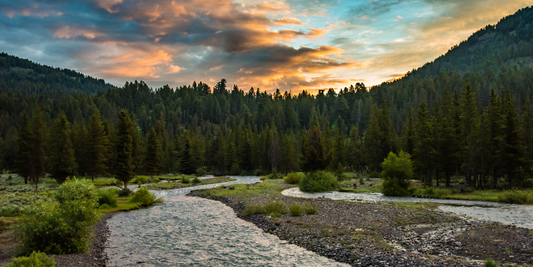 The Yellowstone Map: A Sentimental Guide to Its Icons and Hidden Corners